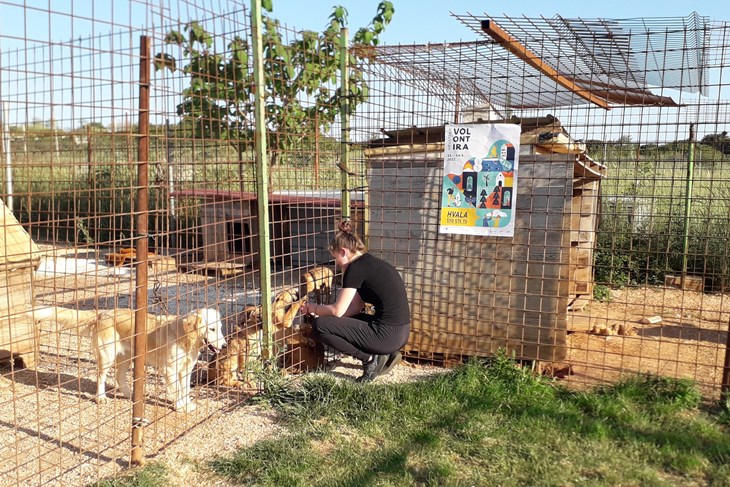 Volonterska akcija čišćenja i uljepšavanja skloništa za životinje udruga Snoopy i Fido 